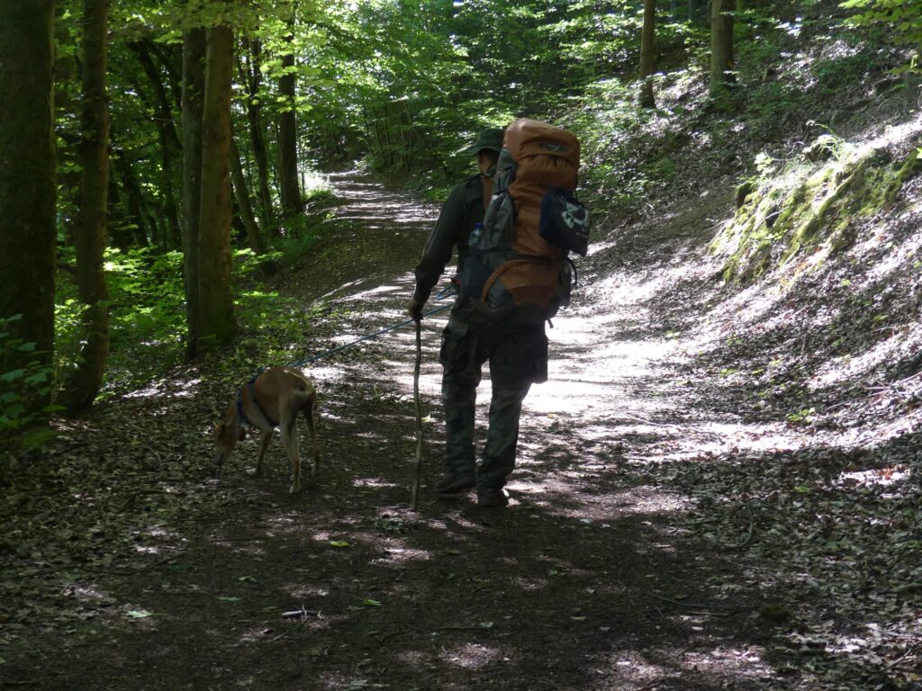 Ein Wanderer mit einem Rucksack und einem Hund auf einem Waldweg in der Natur.
