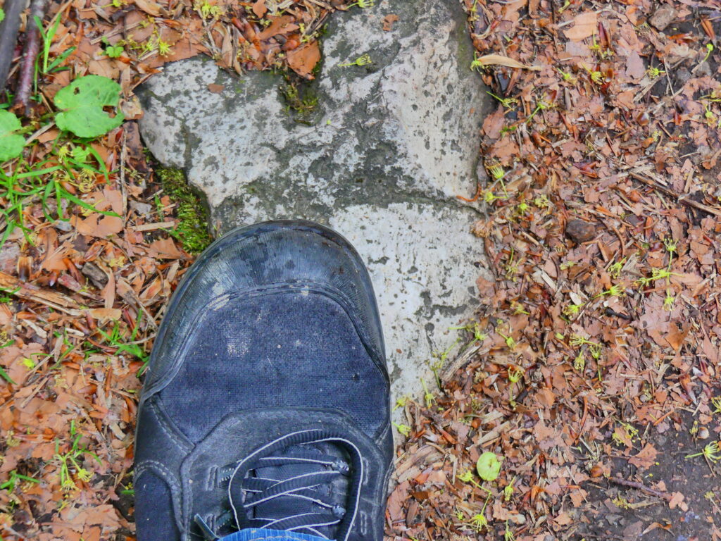 Blauer Wanderschuh am Donnersberg auf hellem vulkanischem Gestein zwischen Moos, Erde und Laub – Spuren erstarrter Feuer und Zeit.